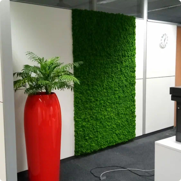 Фото готовой работы - c1