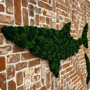 Фото готовой работы - d20