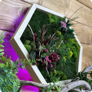 Фото готовой работы - К6