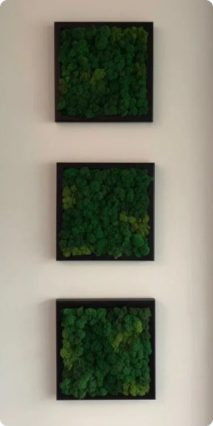 Фото готовой работы - К9