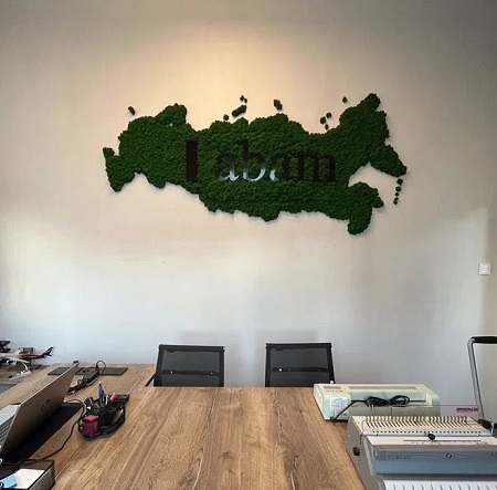 Декор Карта России