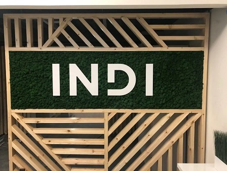 Логотип, Сеть бьюти коворкинга INDI