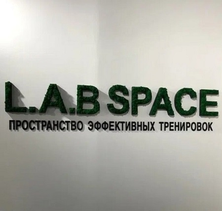Логотип, Сеть студий фитнеса L.A.B. Space