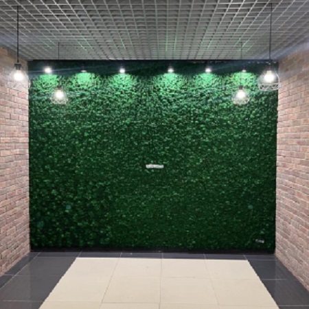 Стена-пано, коттедж