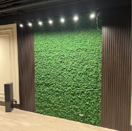 Стена-пано, офисная