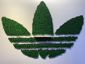 Фото готовых работ (логотип компании Adidas)