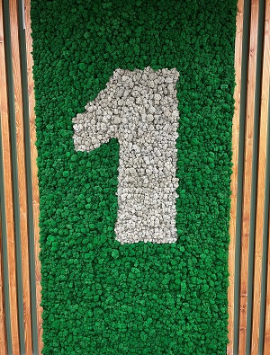 Фото готовых работ (стена двухцветная с номером)