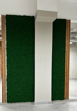 Фото готовых работ (декор стены однотонный)