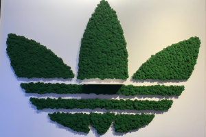 Логотип, Компания Adidas