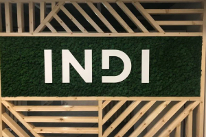 Логотип, Сеть бьюти коворкинга INDI