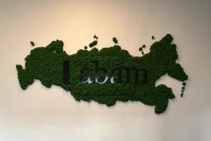 Декор Карта России