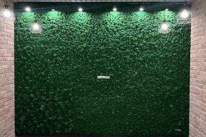 Стена-пано, коттедж