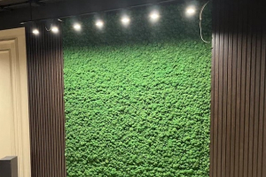 Стена-пано, офисная